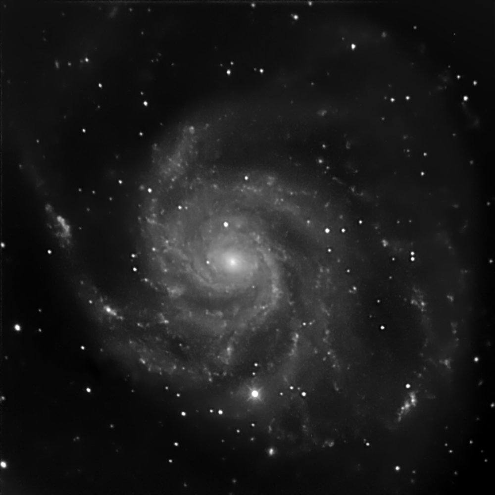 M101 SN11909